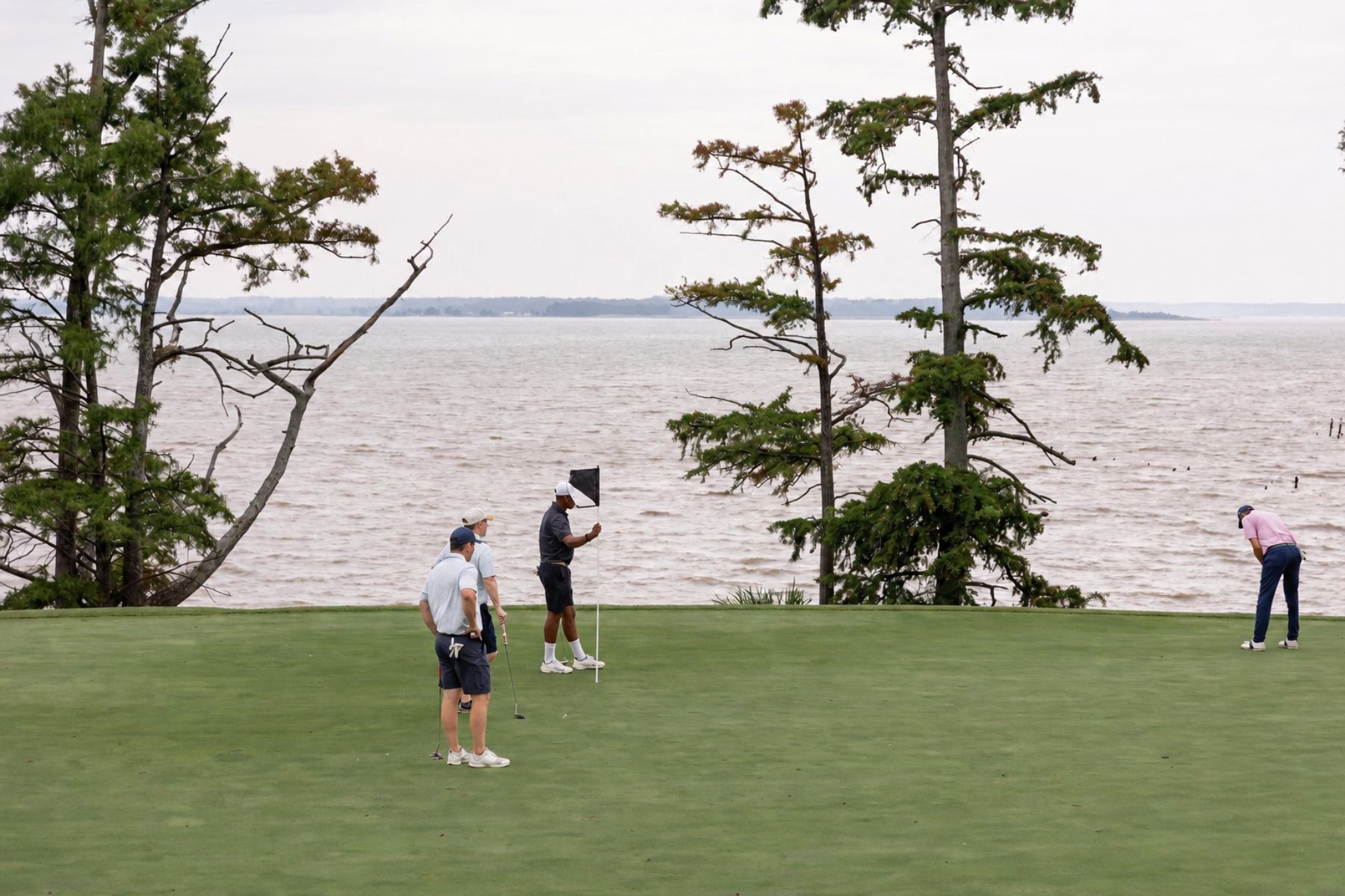 website header - 161