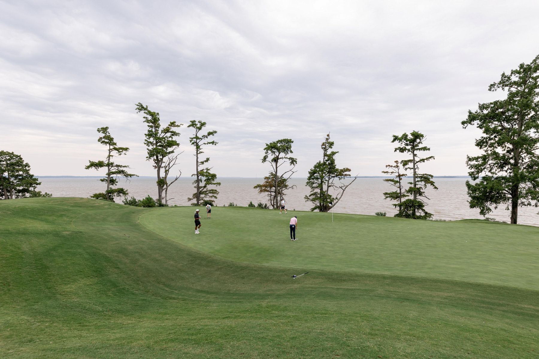 website header - 170
