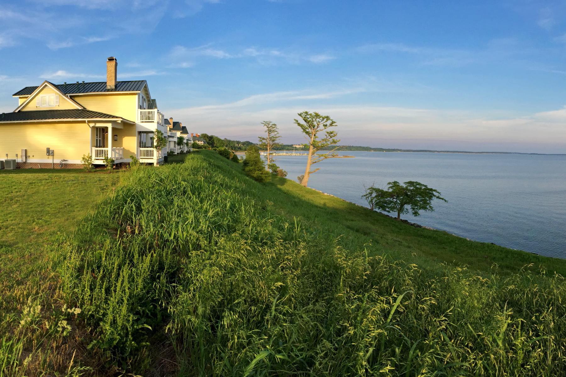 website header - CottageView