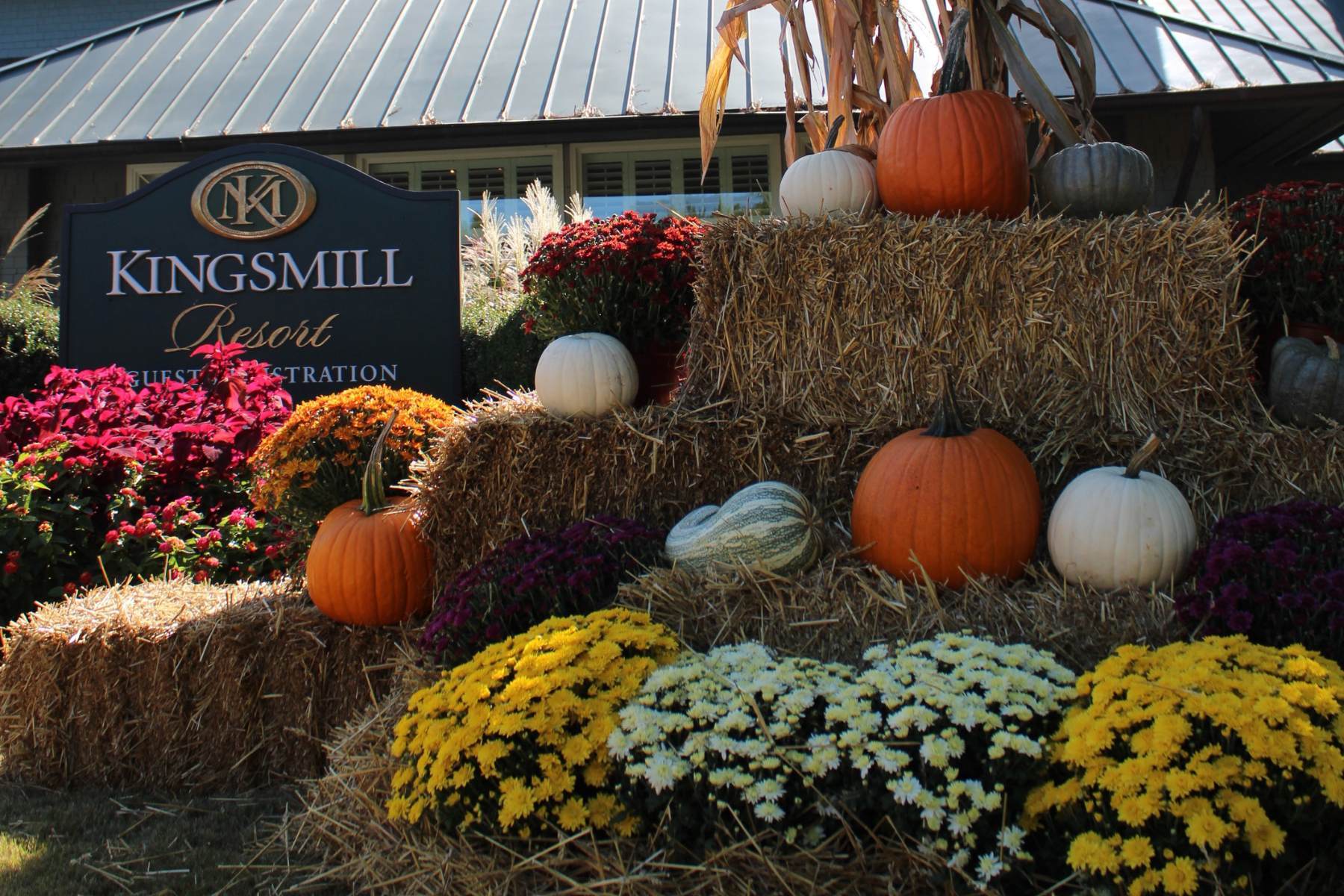 website header - SeasonalPackage25