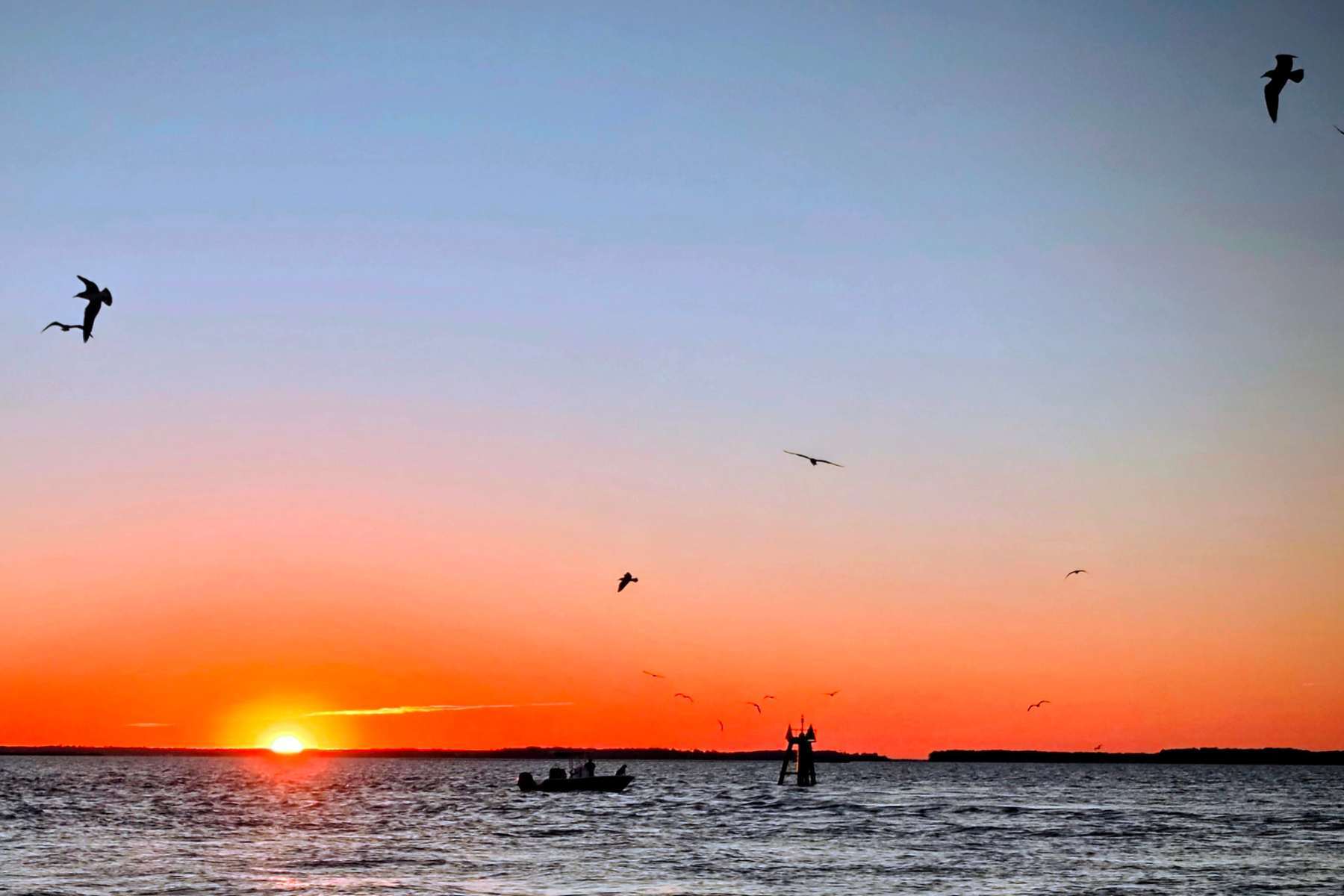 website header - 132