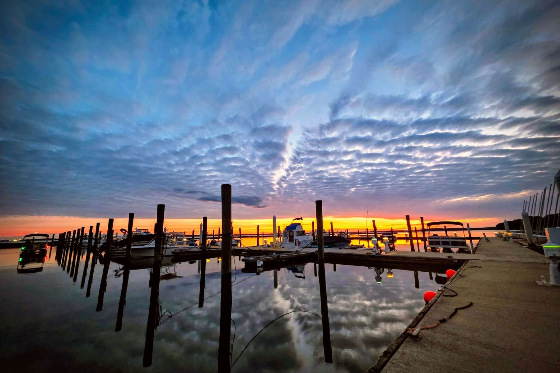 website header - 133