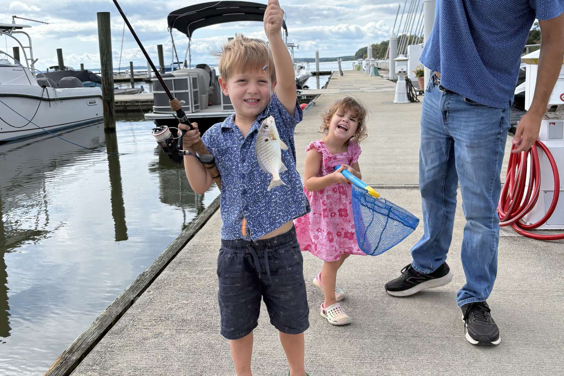 website header - 137