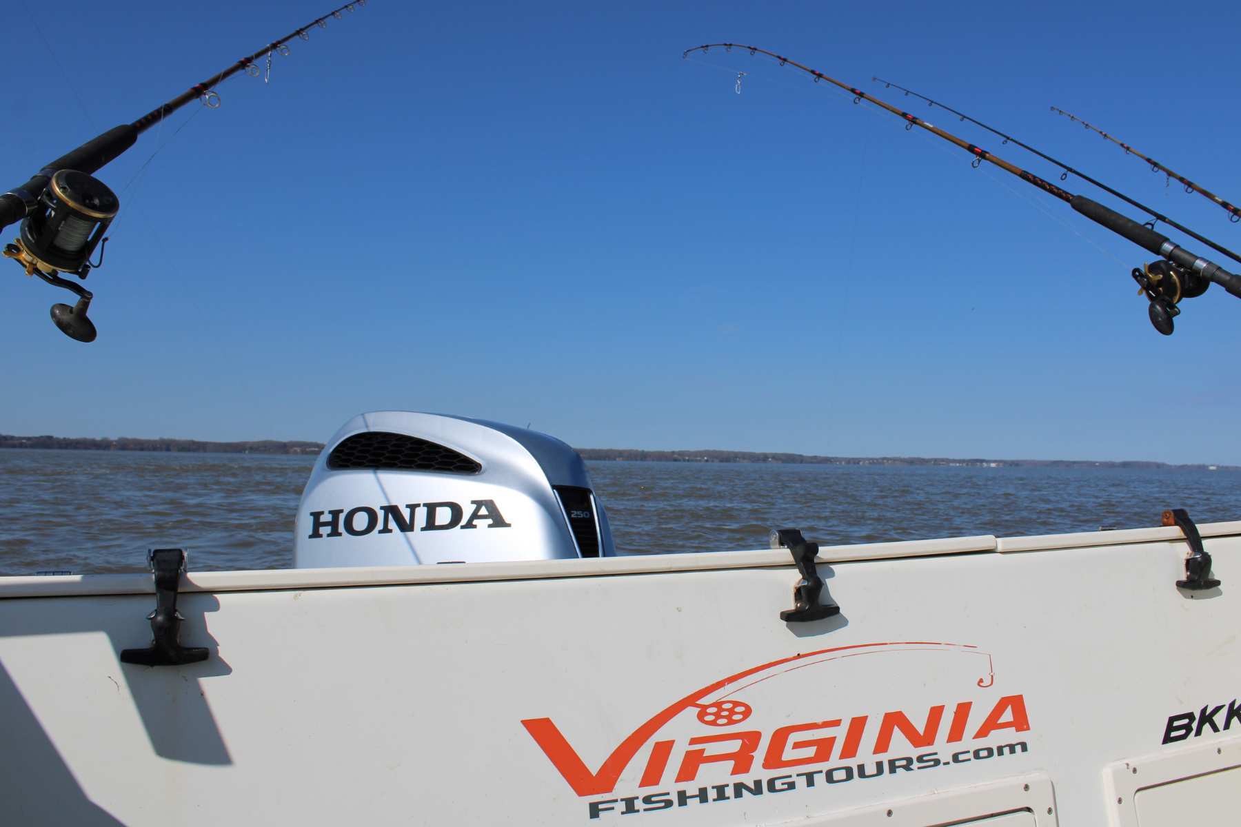 website header - Chartermarina